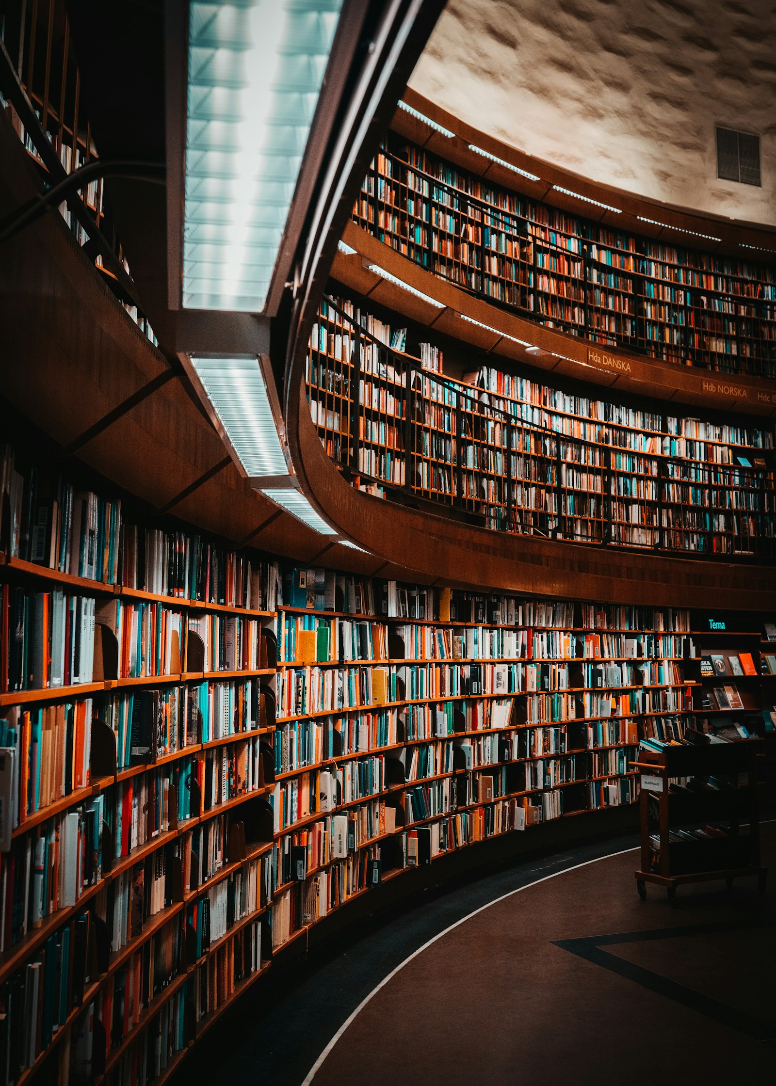 Biblioteca e scaffali di libri